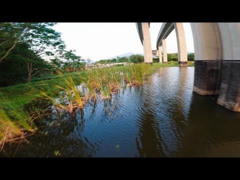 GEPRC Cinelog 35 / GoPro 10 / Kam Tin River with some slow motion