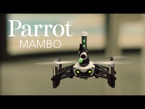 Parrot Mambo, el mini drone Parrot para el combate Drones Baratos Ya!
