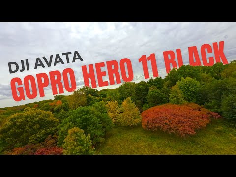 GoPro Hero 11 Black Mounted On DJI Avata - GoPro ReelSteady Flight Footage